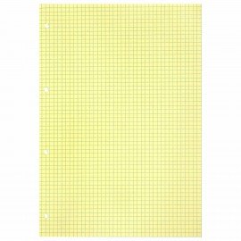 Сменный блок к тетради на кольцах БОЛЬШОЙ ФОРМАТ А4, 120 л., BRAUBERG, (4 цвета по 30 листов), 404519