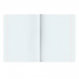 Тетрадь предметная "СИЯНИЕ ЗНАНИЙ" 48 л., глянцевый УФ-лак, ИНФОРМАТИКА, клетка, BRAUBERG, 404526