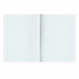 Тетрадь предметная "ELEGANCE" 48 л., SoftTouch, фольга, ХИМИЯ, клетка, BRAUBERG, 404555