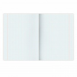 Тетради предметные, КОМПЛЕКТ 12 ПРЕДМЕТОВ, 48 л., обложка картон, BRAUBERG, "DELIGHT", 404606