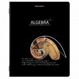 Тетради предметные, КОМПЛЕКТ 12 ПРЕДМЕТОВ, 48 л., глянцевый УФ-лак, BRAUBERG, "СИЯНИЕ ЗНАНИЙ", 404607