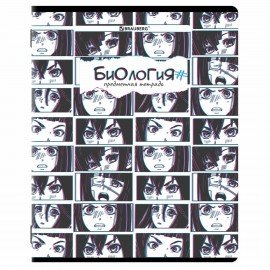 Тетради предметные, КОМПЛЕКТ 12 ПРЕДМЕТОВ, 48 л., глянцевый УФ-лак, BRAUBERG, "ANIME", 404608