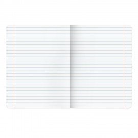 Тетради предметные, КОМПЛЕКТ 12 ПРЕДМЕТОВ, 48 л., TWIN-лак, BRAUBERG, "КОТ-ЭНТУЗИАСТ", 404609