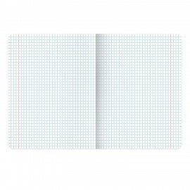 Тетради предметные, КОМПЛЕКТ 12 ПРЕДМЕТОВ, 48 л., TWIN-лак, BRAUBERG, "КОТ-ЭНТУЗИАСТ", 404609