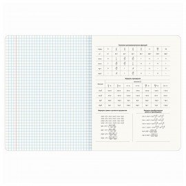 Тетради предметные, КОМПЛЕКТ 12 ПРЕДМЕТОВ, 48 л., TWIN-лак, BRAUBERG, "КОТ-ЭНТУЗИАСТ", 404609