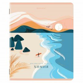 Тетради предметные, КОМПЛЕКТ 12 ПРЕДМЕТОВ, 48 л., SoftTouch, фольга, BRAUBERG, "ELEGANCE", 404611