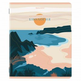 Тетради предметные, КОМПЛЕКТ 12 ПРЕДМЕТОВ, 48 л., SoftTouch, фольга, BRAUBERG, "ELEGANCE", 404611