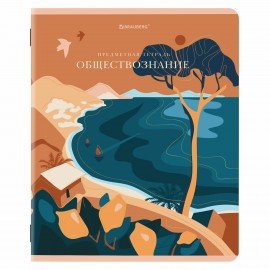 Тетради предметные, КОМПЛЕКТ 12 ПРЕДМЕТОВ, 48 л., SoftTouch, фольга, BRAUBERG, "ELEGANCE", 404611