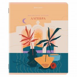 Тетради предметные, КОМПЛЕКТ 12 ПРЕДМЕТОВ, 48 л., SoftTouch, фольга, BRAUBERG, "ELEGANCE", 404611