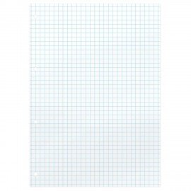 Сменный блок для тетради на кольцах А5, 160 л., BRAUBERG, "Белый", 404613