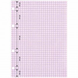 Сменный блок для тетради на кольцах, А5, 120 л., BRAUBERG, 4 цвета по 30 листов, 404614