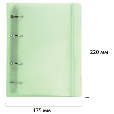 Тетрадь на кольцах А5 175х220 мм, 120 л., пластик, с резинкой и разделителями, BRAUBERG, Зеленый, 404632