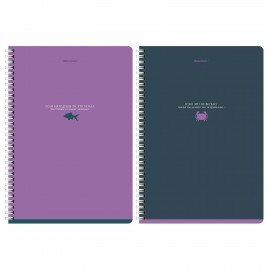 Тетради ДЭК А4 96 л. КОМПЛЕКТ 2 шт. BRAUBERG гребень, клетка, Soft Touch, MONOCOLOR, 404647