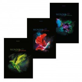 Тетради ДЭК А4, 96 л., КОМПЛЕКТ 3 шт., BRAUBERG, скоба, клетка, глянцевый лак, "Shade", 404654