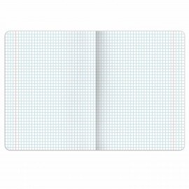 Тетрадь предметная PIGMENT 48 л., глянцевый УФ-лак, ГЕОМЕТРИЯ, клетка, подсказ, BRAUBERG, 404763