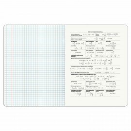 Тетрадь предметная PIGMENT 48 л., глянцевый УФ-лак, ФИЗИКА, клетка, подсказ, BRAUBERG, 404768