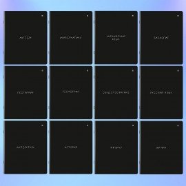 Тетради предметные, КОМПЛЕКТ 12 ПРЕДМЕТОВ, 48 л., матовая ламинация, BRAUBERG, "MINIMAL", 404831