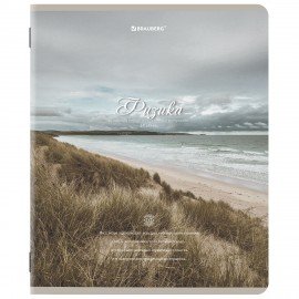 Тетради предметные, КОМПЛЕКТ 12 ПРЕДМЕТОВ, 48 л., SoftTouch, BRAUBERG, "ESTHETICS", 404833