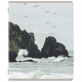 Тетради предметные, КОМПЛЕКТ 12 ПРЕДМЕТОВ, 48 л., SoftTouch, BRAUBERG, "ESTHETICS", 404833