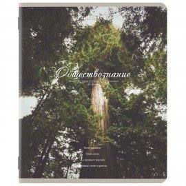 Тетради предметные, КОМПЛЕКТ 12 ПРЕДМЕТОВ, 48 л., SoftTouch, BRAUBERG, "ESTHETICS", 404833