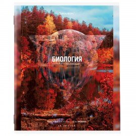 Тетради предметные, КОМПЛЕКТ 10 ПРЕДМЕТОВ, 48 л., обложка картон, BRAUBERG, "ПРИРОДА", 404839