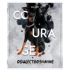 Тетради предметные, КОМПЛЕКТ 10 ПРЕДМЕТОВ, 48 л., обложка картон, BRAUBERG, "SPORT CLUB", 404841