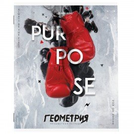 Тетради предметные, КОМПЛЕКТ 10 ПРЕДМЕТОВ, 48 л., обложка картон, BRAUBERG, "SPORT CLUB", 404841