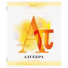 Тетради предметные, КОМПЛЕКТ 12 ПРЕДМЕТОВ, 48 л., матовая ламинация, лак, BRAUBERG, "CALM", 404844