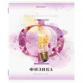 Тетради предметные, КОМПЛЕКТ 12 ПРЕДМЕТОВ, 48 л., матовая ламинация, лак, BRAUBERG, "CALM", 404844