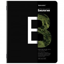 Тетради предметные, КОМПЛЕКТ 12 ПРЕДМЕТОВ, 48 л., матовая ламинация, BRAUBERG, "INTELLIGENCE", 404845