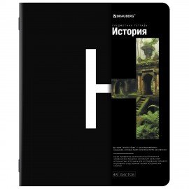 Тетради предметные, КОМПЛЕКТ 12 ПРЕДМЕТОВ, 48 л., матовая ламинация, BRAUBERG, "INTELLIGENCE", 404845