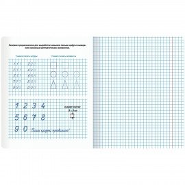 Тетрадь УЧУСЬ ПИСАТЬ № 6 12 л. клетка, со справочным материалом, обложка картон, ЮНЛАНДИЯ, 404849