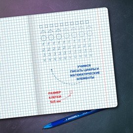 Тетрадь УЧУСЬ ПИСАТЬ № 6 12 л. клетка, со справочным материалом, обложка картон, ЮНЛАНДИЯ, 404849