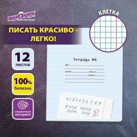 Тетрадь УЧУСЬ ПИСАТЬ № 6 12 л. клетка, со справочным материалом, обложка картон, ЮНЛАНДИЯ, 404849