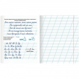 Тетрадь УЧУСЬ ПИСАТЬ № 4 12 л. косая линия, со справочным материалом, обложка картон, ЮНЛАНДИЯ, 404851