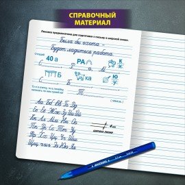Тетради ДЭК 12 л. КОМПЛЕКТ 10 шт. ПРОПИСЬ № 5 узкая линия, со справкой, ЮНЛАНДИЯ, 404856