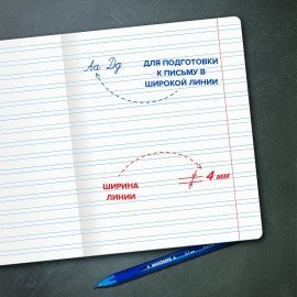 Тетради ДЭК 12 л. КОМПЛЕКТ 10 шт. ПРОПИСЬ № 5 узкая линия, со справкой, ЮНЛАНДИЯ, 404856