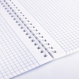 Тетради ДЭК А4 96 л. КОМПЛЕКТ 2 шт. BRAUBERG гребень, клетка, SoftTouch, "Peaceful", 404875