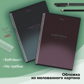 Тетради ДЭК А4 96 л. КОМПЛЕКТ 2 шт. BRAUBERG гребень, клетка, SoftTouch, "Peaceful", 404875