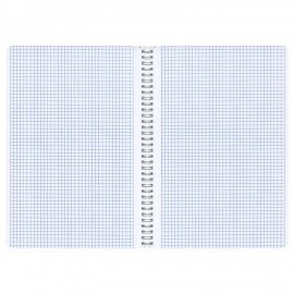 Тетради ДЭК А4 96 л. КОМПЛЕКТ 2 шт. BRAUBERG гребень, клетка, SoftTouch, "Peaceful", 404875