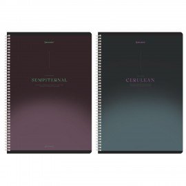 Тетради ДЭК А4 96 л. КОМПЛЕКТ 2 шт. BRAUBERG гребень, клетка, SoftTouch, "Peaceful", 404875