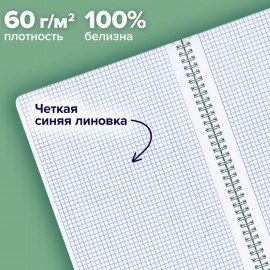 Тетради ДЭК А4 96 л. КОМПЛЕКТ 2 шт. BRAUBERG гребень, клетка, SoftTouch, "Peaceful", 404875