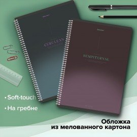 Тетради ДЭК А4 96 л. КОМПЛЕКТ 2 шт. BRAUBERG гребень, клетка, SoftTouch, "Peaceful", 404875