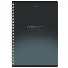 Тетради ДЭК А4 96 л. КОМПЛЕКТ 2 шт. BRAUBERG гребень, клетка, SoftTouch, "Peaceful", 404875