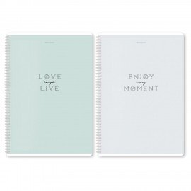 Тетради ДЭК А4 96 л. КОМПЛЕКТ 2 шт. BRAUBERG гребень, клетка, матовая ламинация, "Пастель_2", 404884