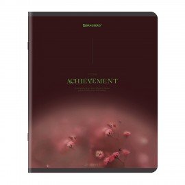 Тетради ДЭК А5 48 л. КОМПЛЕКТ 5 шт. BRAUBERG скоба, клетка, SoftTouch, "Peaceful", 404926