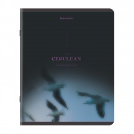 Тетради ДЭК А5 48 л. КОМПЛЕКТ 5 шт. BRAUBERG скоба, клетка, SoftTouch, "Peaceful", 404926