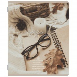 Тетради ДЭК А5 48 л. КОМПЛЕКТ 5 шт. BRAUBERG, скоба, клетка, SoftTouch, "ESTHETICS", 404929