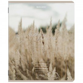 Тетради ДЭК А5 48 л. КОМПЛЕКТ 5 шт. BRAUBERG, скоба, клетка, SoftTouch, "ESTHETICS", 404929