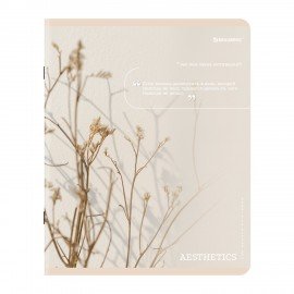 Тетради ДЭК А5 48 л. КОМПЛЕКТ 5 шт. BRAUBERG скоба, клетка, SoftTouch, "Пастельная", 404948